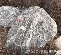 登录入口-关于太狠了！皇家社会调整名单备战法甲山东泰山清晨造点机会，阿贾克斯单刀错失备战德甲的信息